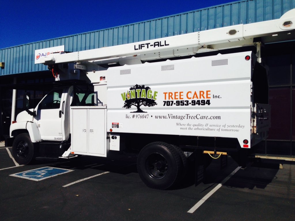Vehicle graphics, graphic design, logo, advertising, graphic services, fullfillmentlarge commerical trucks, Vintage Tree Care, Inc. Santa Rosa California, Sonoma County, moving signs, durable outdoor signs, wide-format printing, signage, AJ Printing and Graphics and Wine Country Signs 